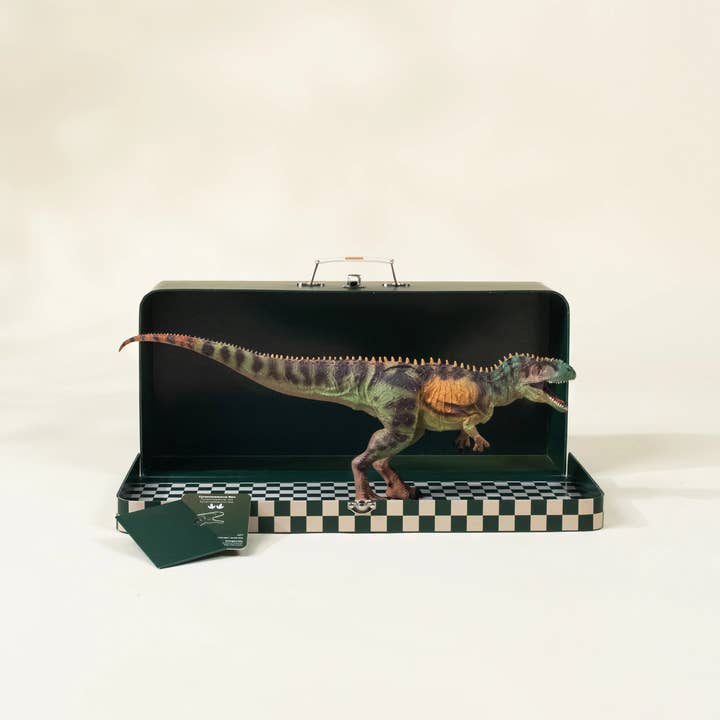 Coco Village - Wholesale Figurine toy – Kids - Tyrannosaurus Rex Dinosaur in a Collectible Box3