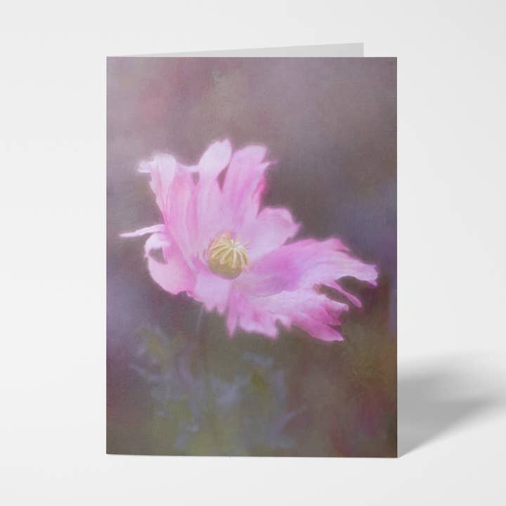 Tatty Dancer Single 5x7 Oriental Poppy Floral Greeting Card for wholesale by Sheryl’s Virtual Garden