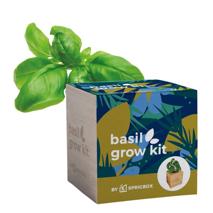 Sprigbox - Wholesale Planter Box - Grow Kits | Bestseller POS Display | Grow Plants from Seed3