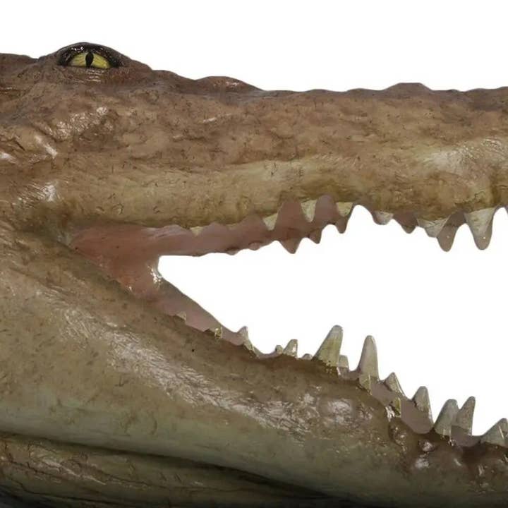 Nautical Tropical Imports - Wholesale Wall Accent - Large Crocodile Head Trophy Wall Sculpture Decor2