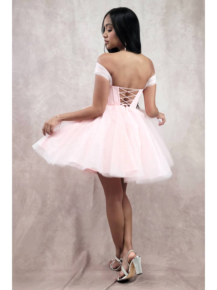 Chicas - Wholesale Dress - Women's - Short Off The Shoulder Tulle Dress With Brooch18