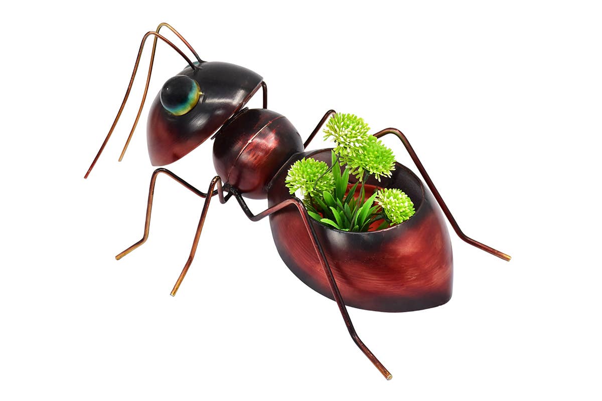 Socadis - Wholesale Plant Pot - AJ1209 - Cache Pot Fourmi - Histoire De Fer0