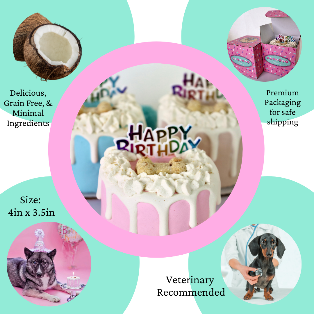 Dog Gender Reveal Birthday Cake Treat 4