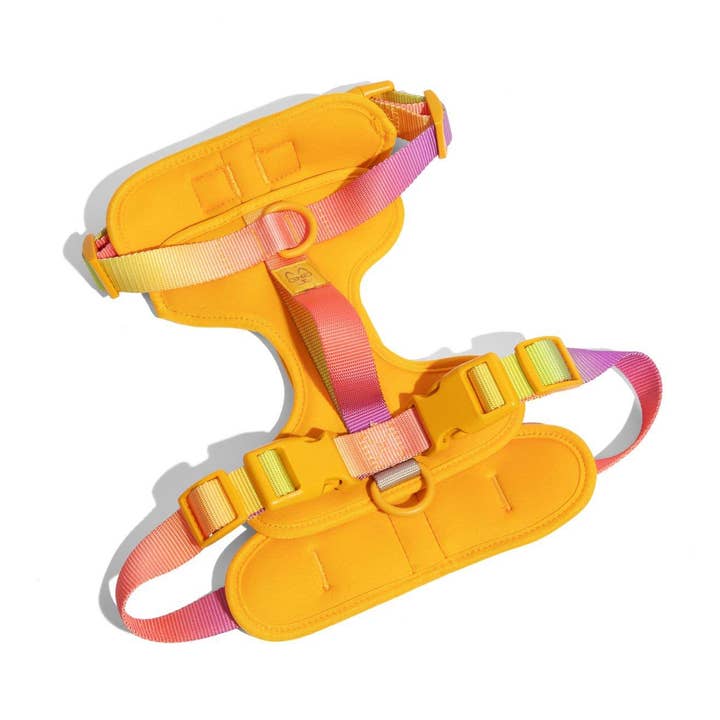 Kenna Dog Harness | Yellow Dog Harness | No Pull Dog Harness for wholesale by Pink Papyrus | Premium, Durable, & Stylish Dog Products