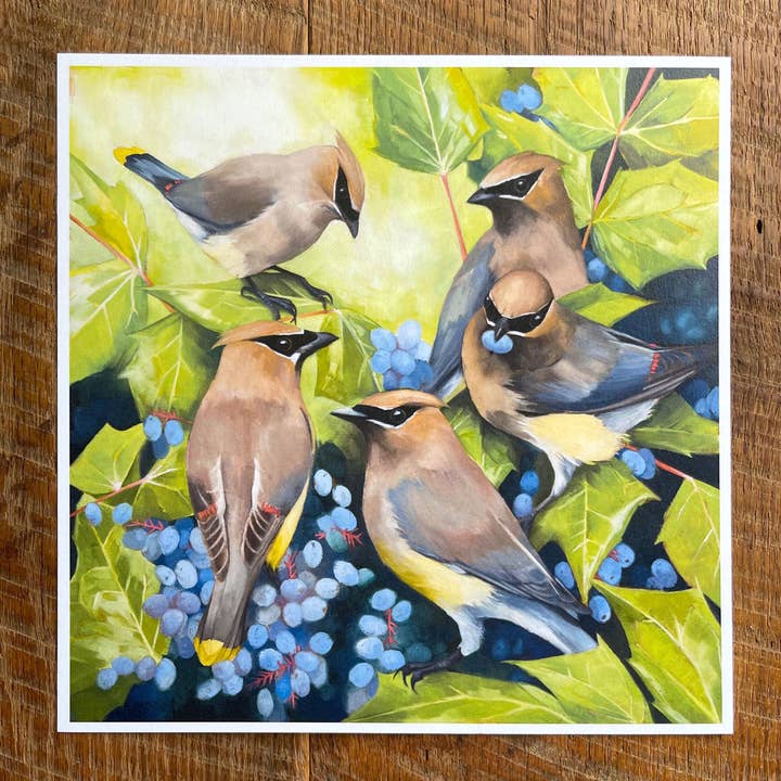 Cedar Waxwings Flock - Fine Art Print, 8x8 inches for wholesale by Amy Shawley Paquette