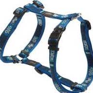 Pets One - Wholesale Pet Harness - Dog - Rogz Peitoral Jelly 11mm1
