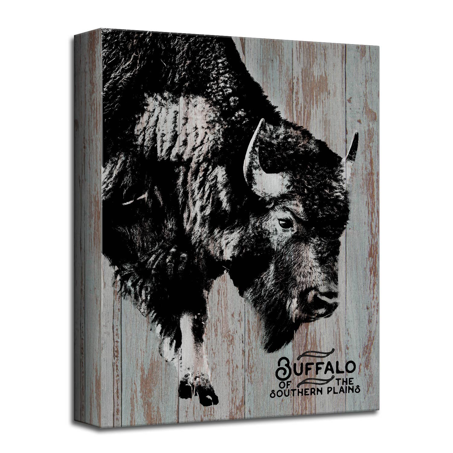 Ready2hangart, Inc. - Vente Affiche d'art - Buffalo' Farmhouse Toile Enveloppée Animal Art mural1