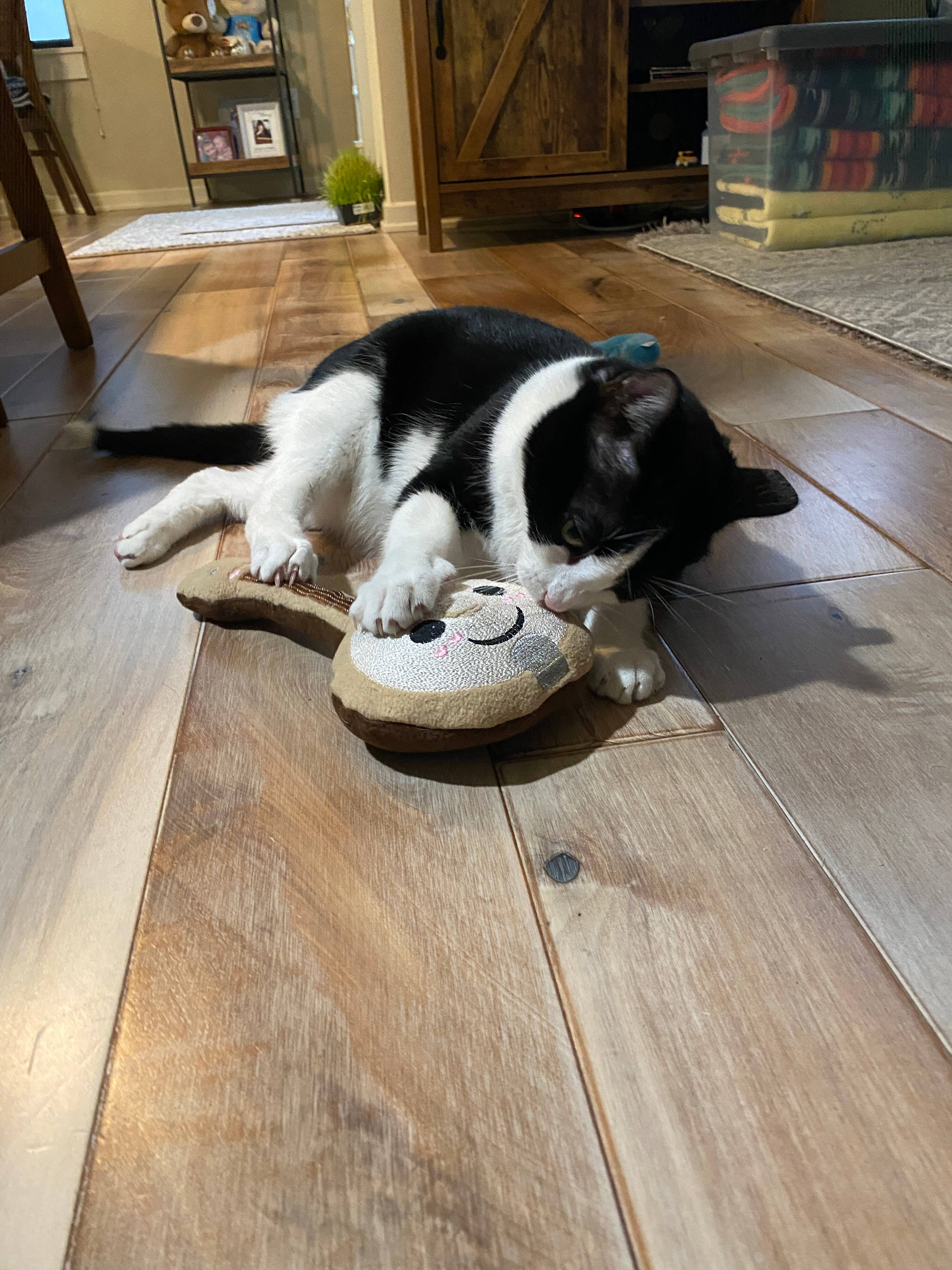 Screaming Pickles - Wholesale Pet Plush Toy - Dog - Handmade Pet Toys - Banjo Plush Toy for Dogs or Cats0