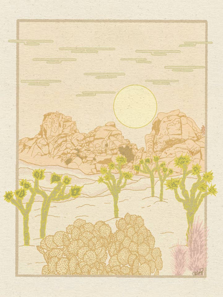 Desert Folly for wholesale by Sunrise Via Lola