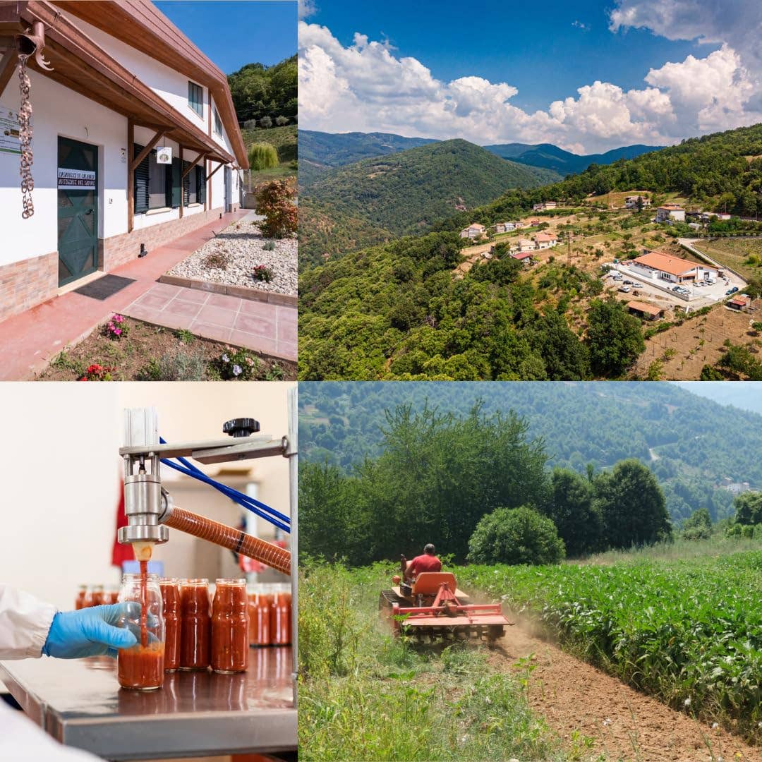 Wholesale Italian Food - Wholesale Pickled Vegetables - Artigiani dei Sapori, Red Tropea Calabrian Onions, 6.3 oz4