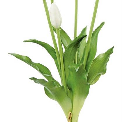 Select Artificials, Inc. - Wholesale Artificial Flowers - Real Touch Tulip Bundle X5, 15.5", White0