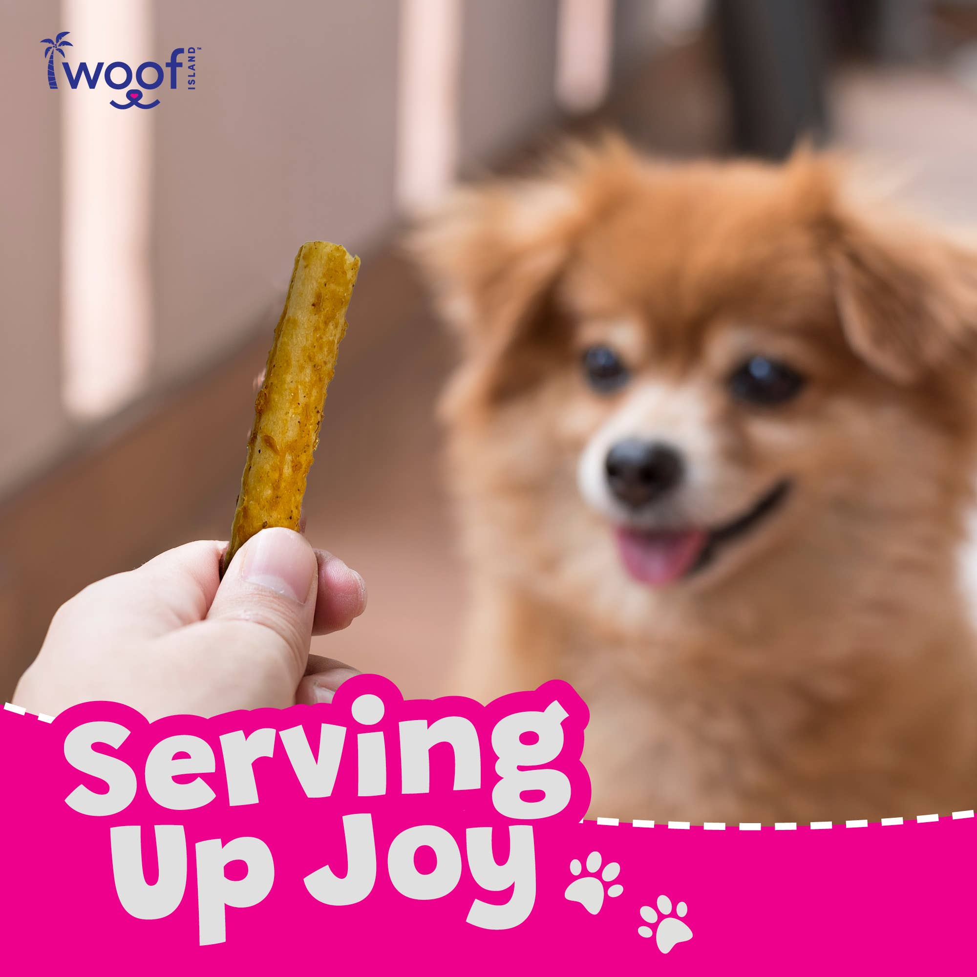 Woof Island – Engroshandel Godbid - Hund – Kokosnødsruller med ægte banan og kylling9