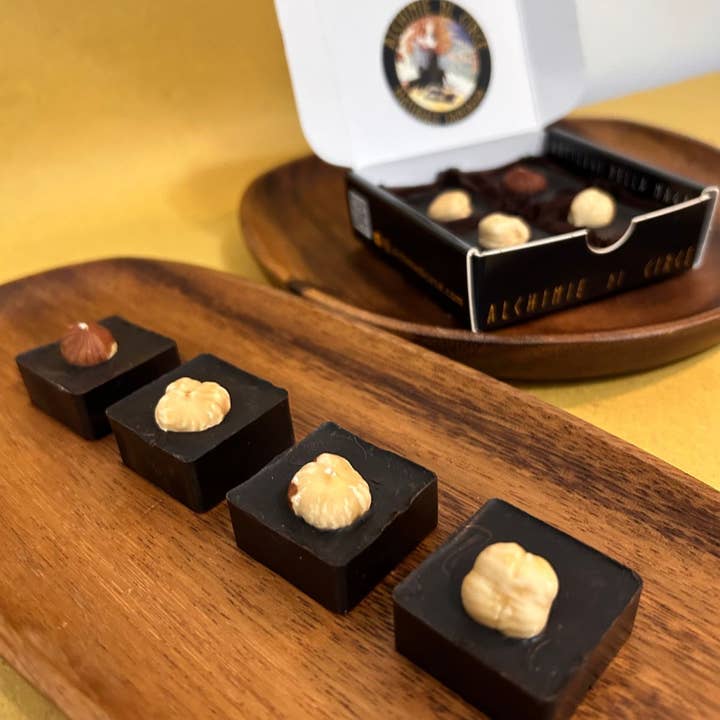 70% single-origin dark chocolate - Apricot and hazelnuts for wholesale by Alchimie di Circe