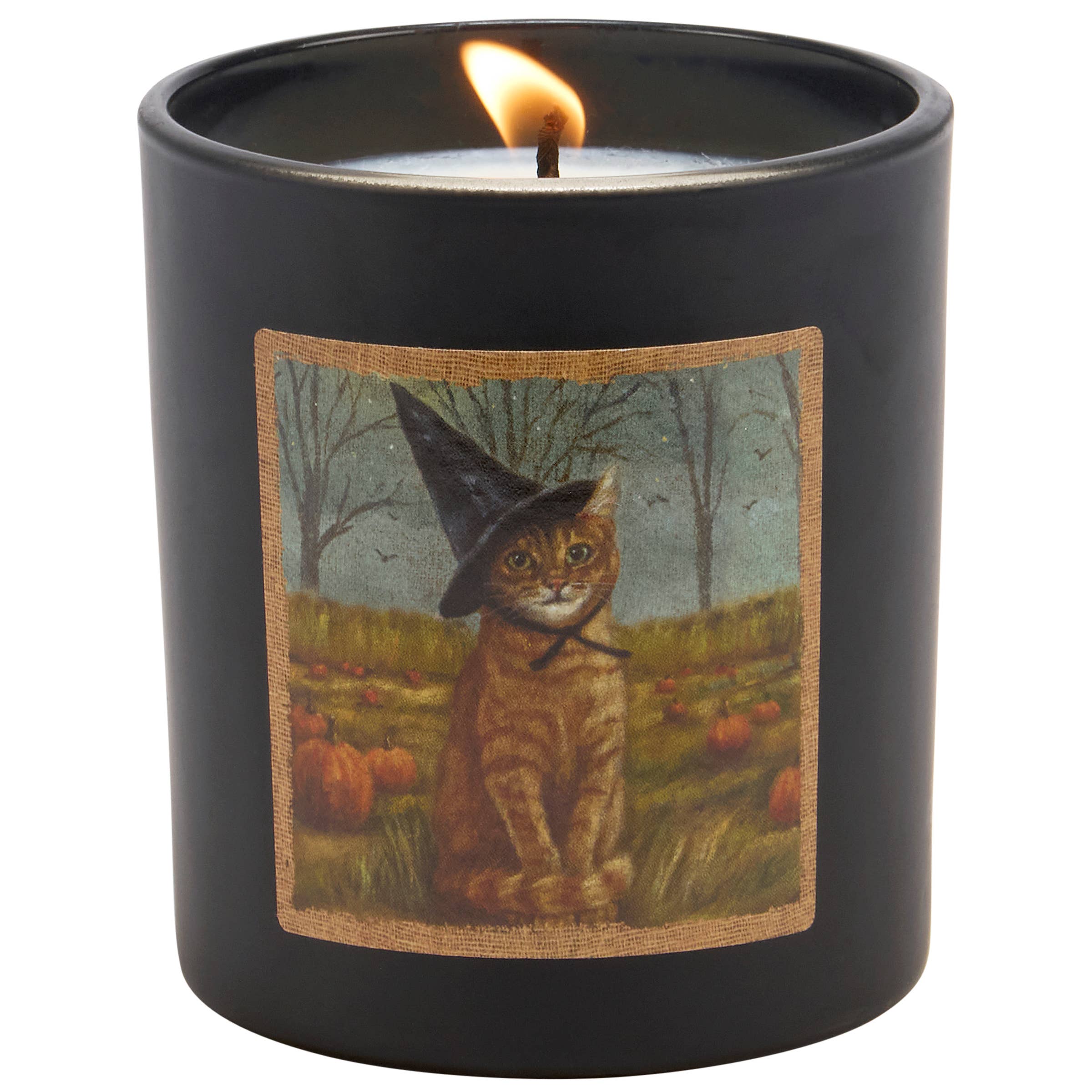 Primitives by Kathy - Wholesale Jar/Filled Candle - Cat As A Witch Candle2