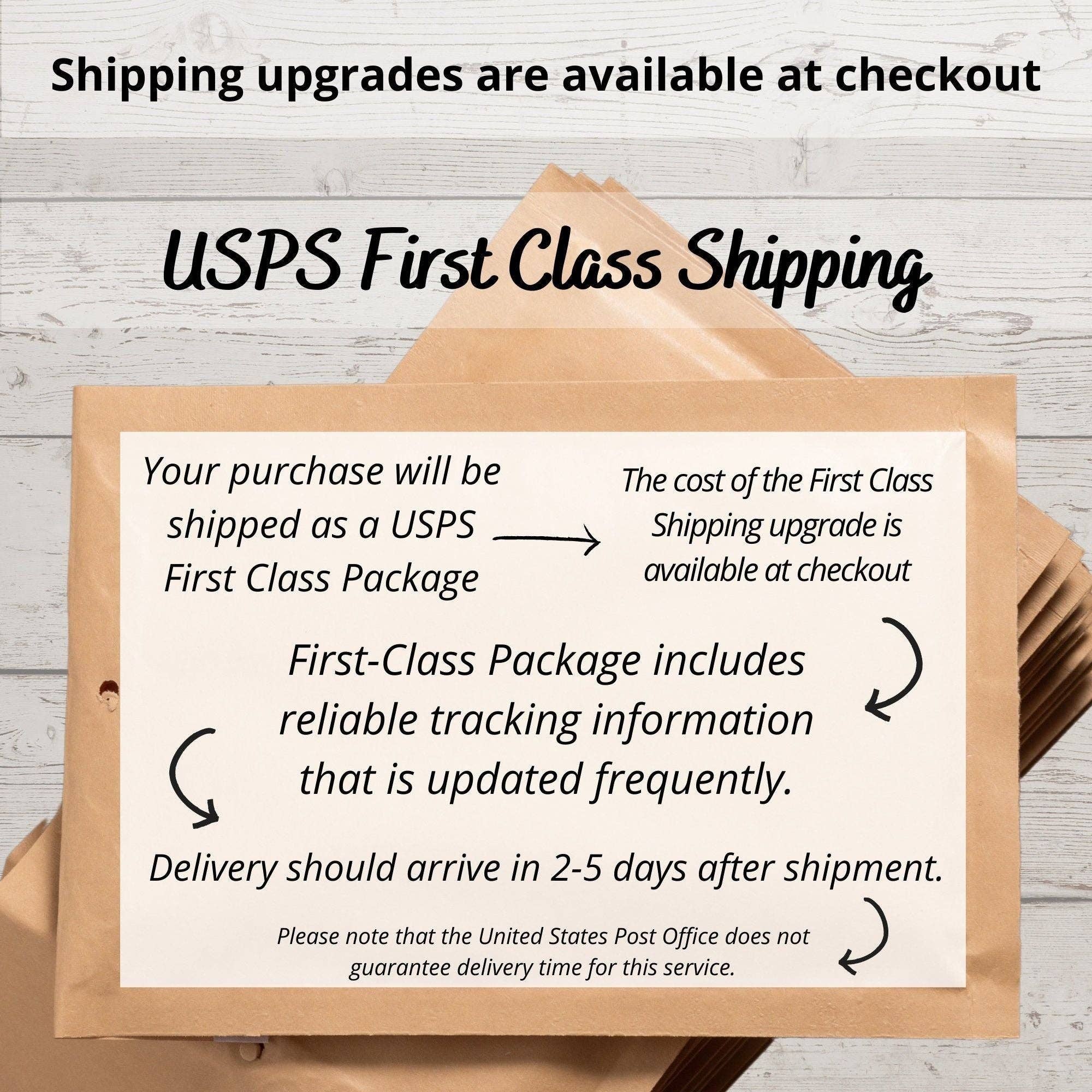 Kirk's Krafts - Wholesale Sticker - California Redwood National Park Sticker Redwood Trees Green Orange5