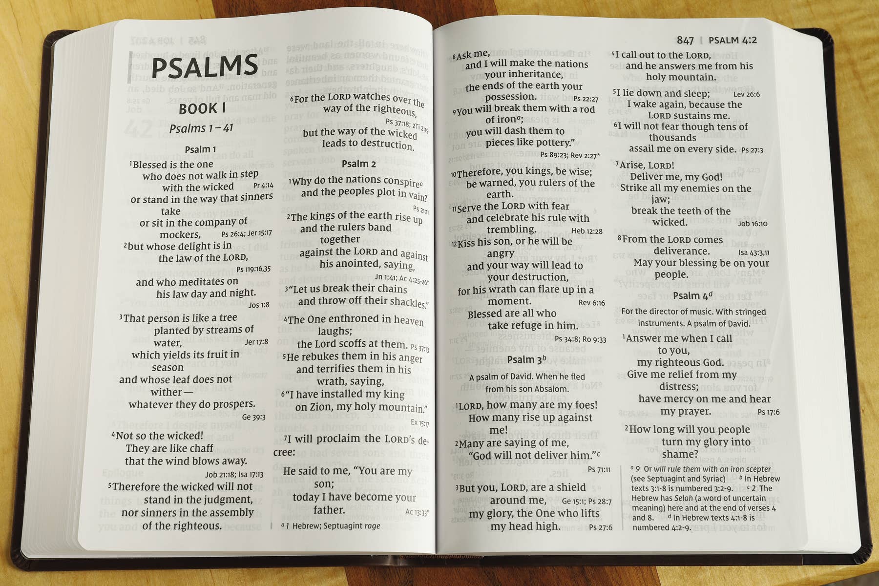 HarperCollins Christian Publishing - Wholesale Reference - NIV Super Giant Print Reference Bible Leathersoft Brown4