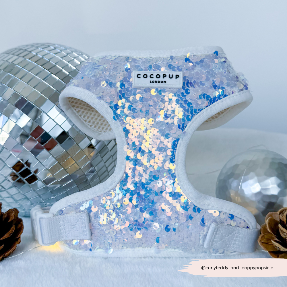Cocopup London - Vendita all'ingrosso Pettorina - Cani - Imbracatura LUXE Party con Paillettes Olografiche11