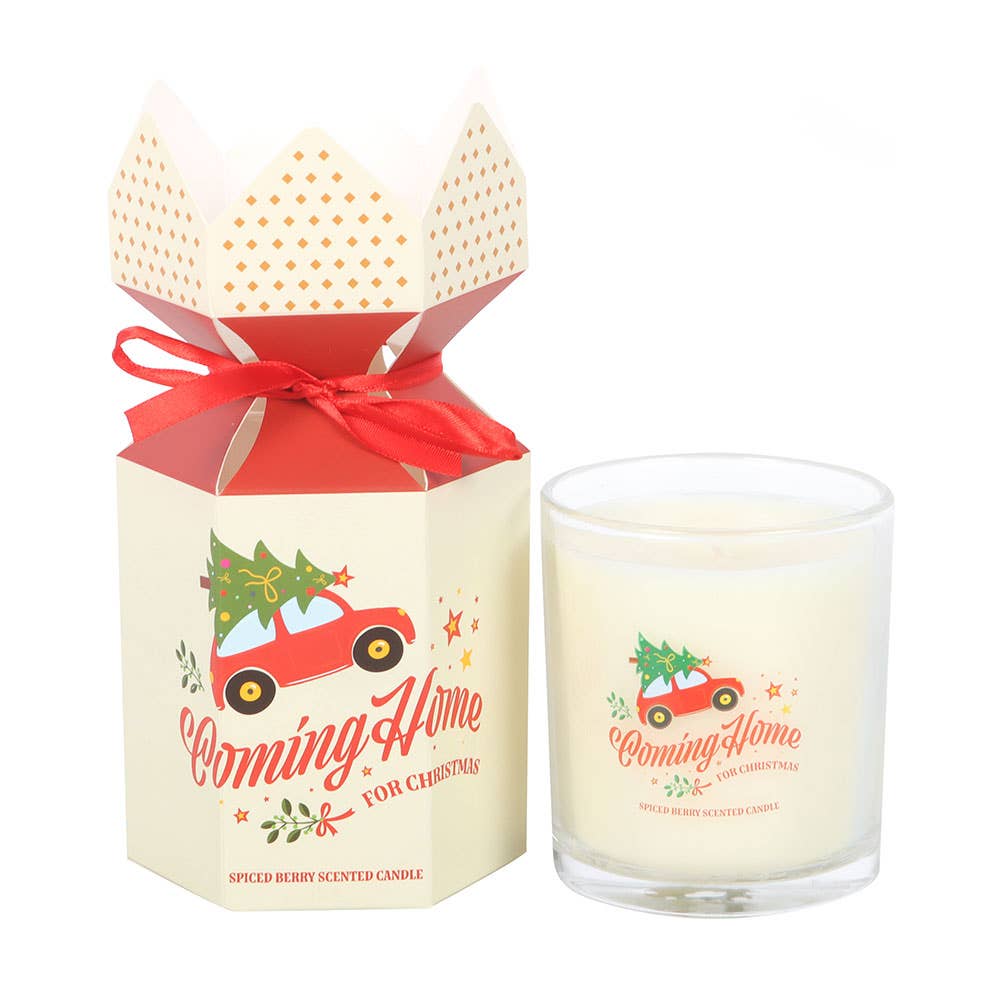 Something Different Wholesale - Wholesale Jar/filled candle - Coming Home for Christmas Spiced Berry Candle1