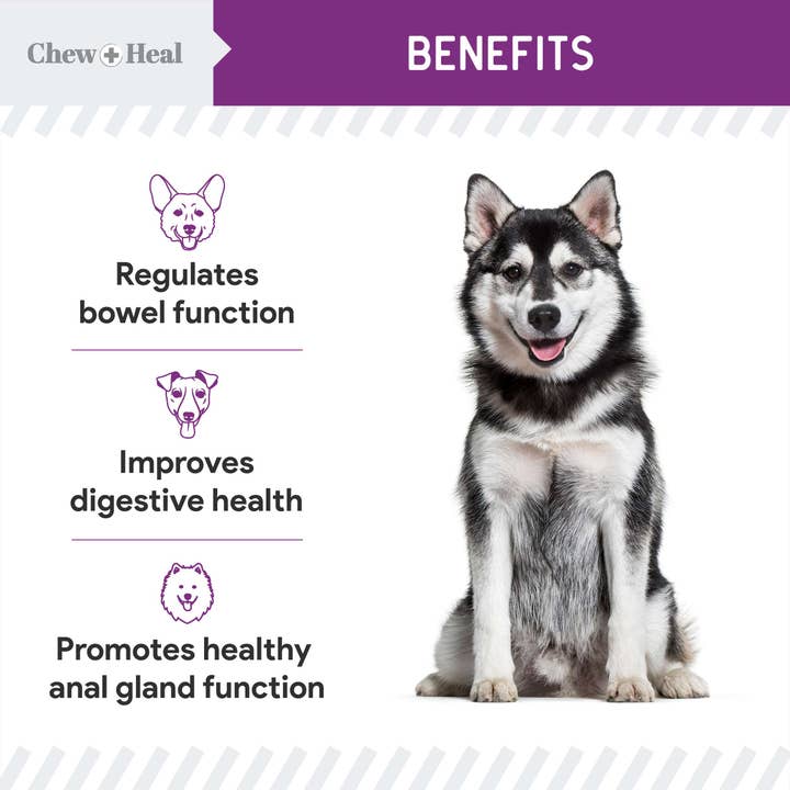 Chew + Heal - Wholesale Pet Supplement - Dog - Chew + Heal Stop the Scoot Anal Gland & Bowel Support4