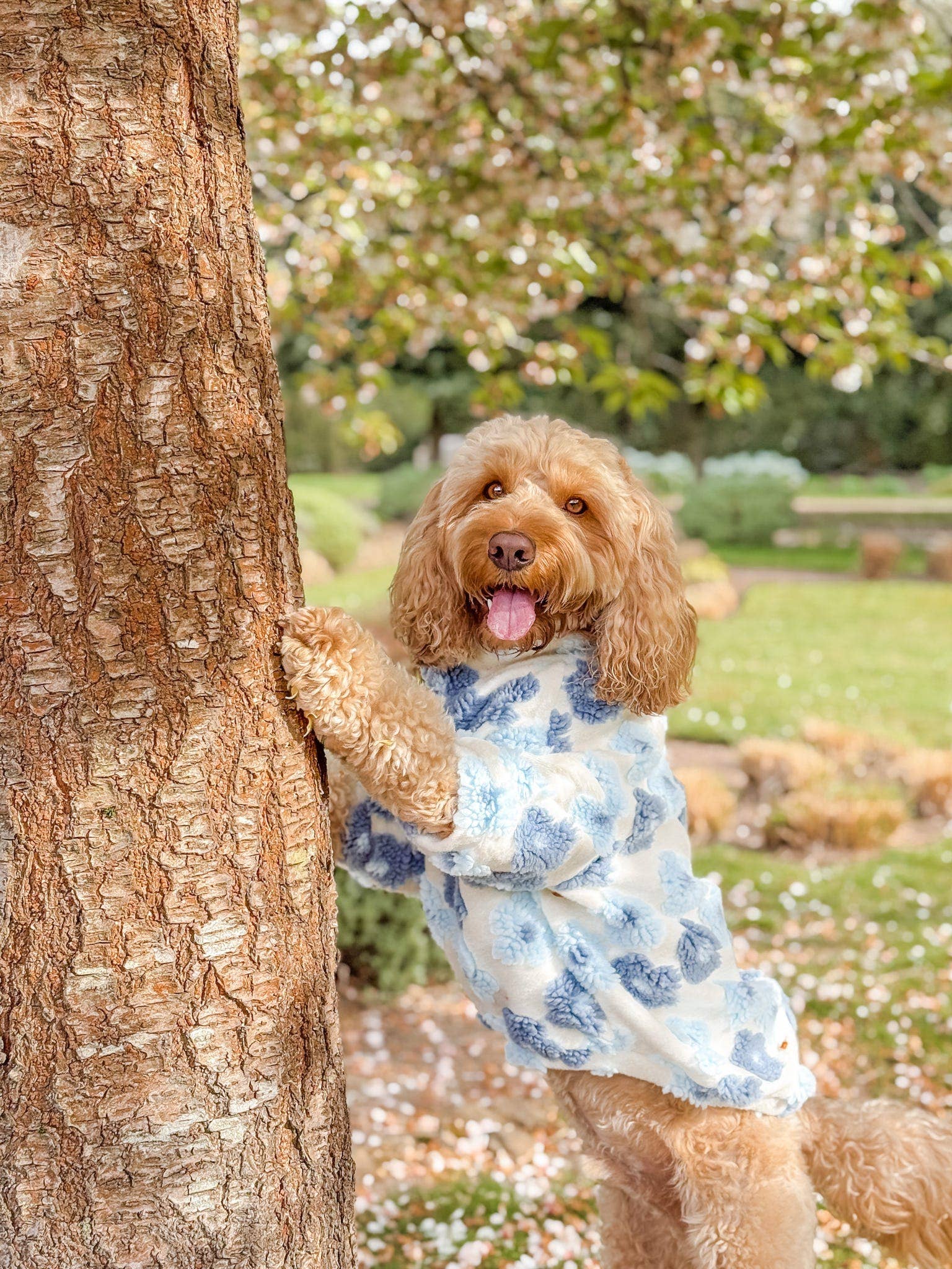 The Paw Print Boutique - Wholesale Pet jumper – Dog - The Bluebell Blue Floral Fleece19