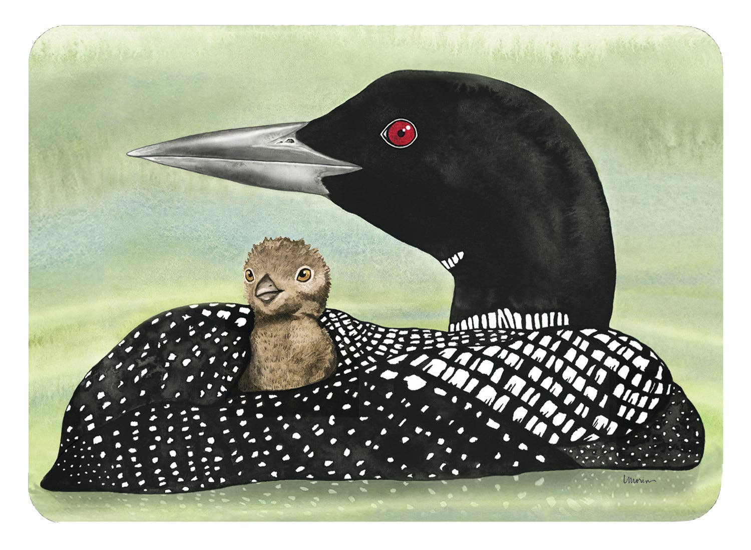 Firefly Sky Design - Wholesale Playing Cards - NEW! Loon & Chick Playing Card Deck1