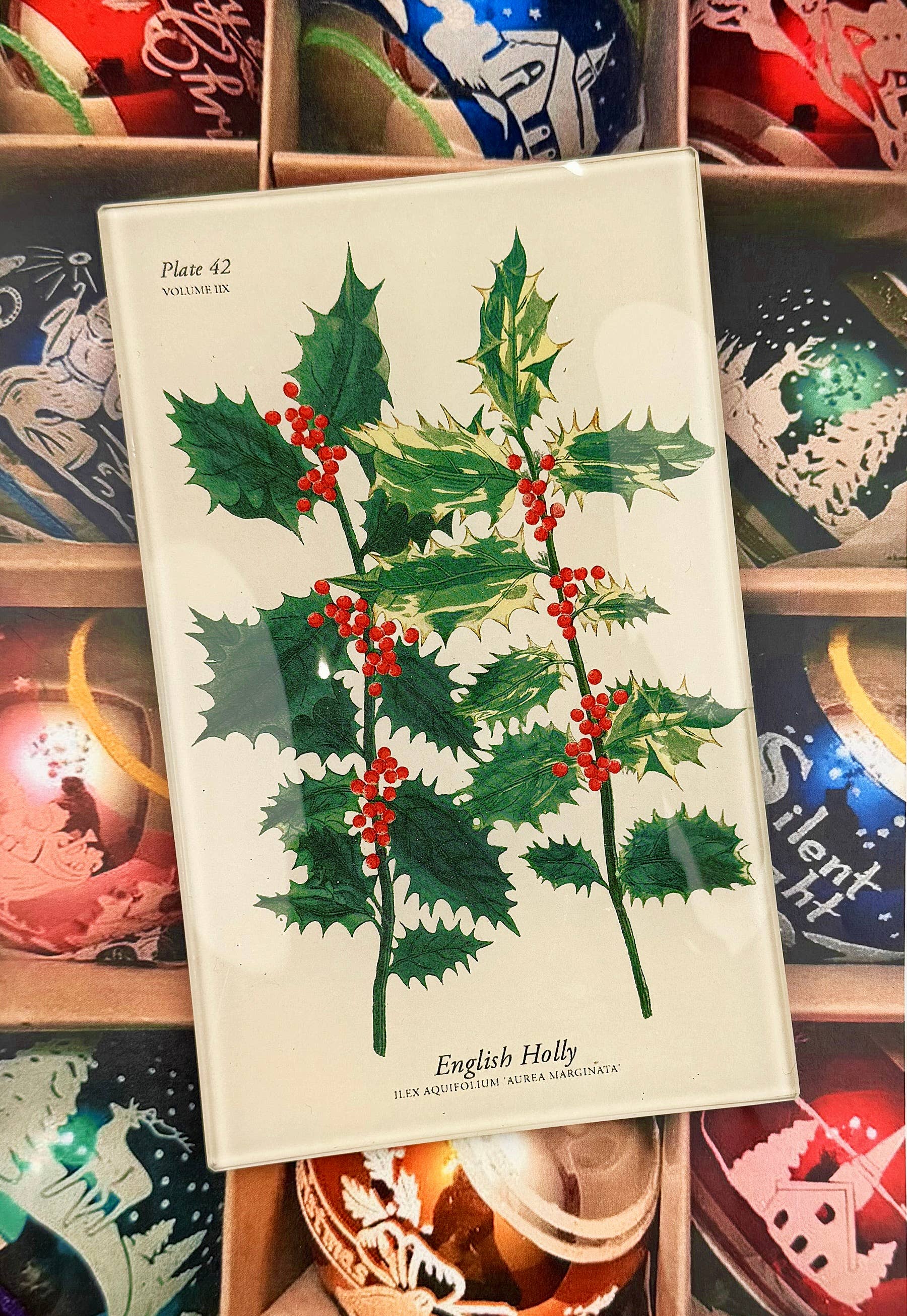 Ben's Garden - Wholesale Decorative Tray - English Holly Stems Decoupage Glass Tray1