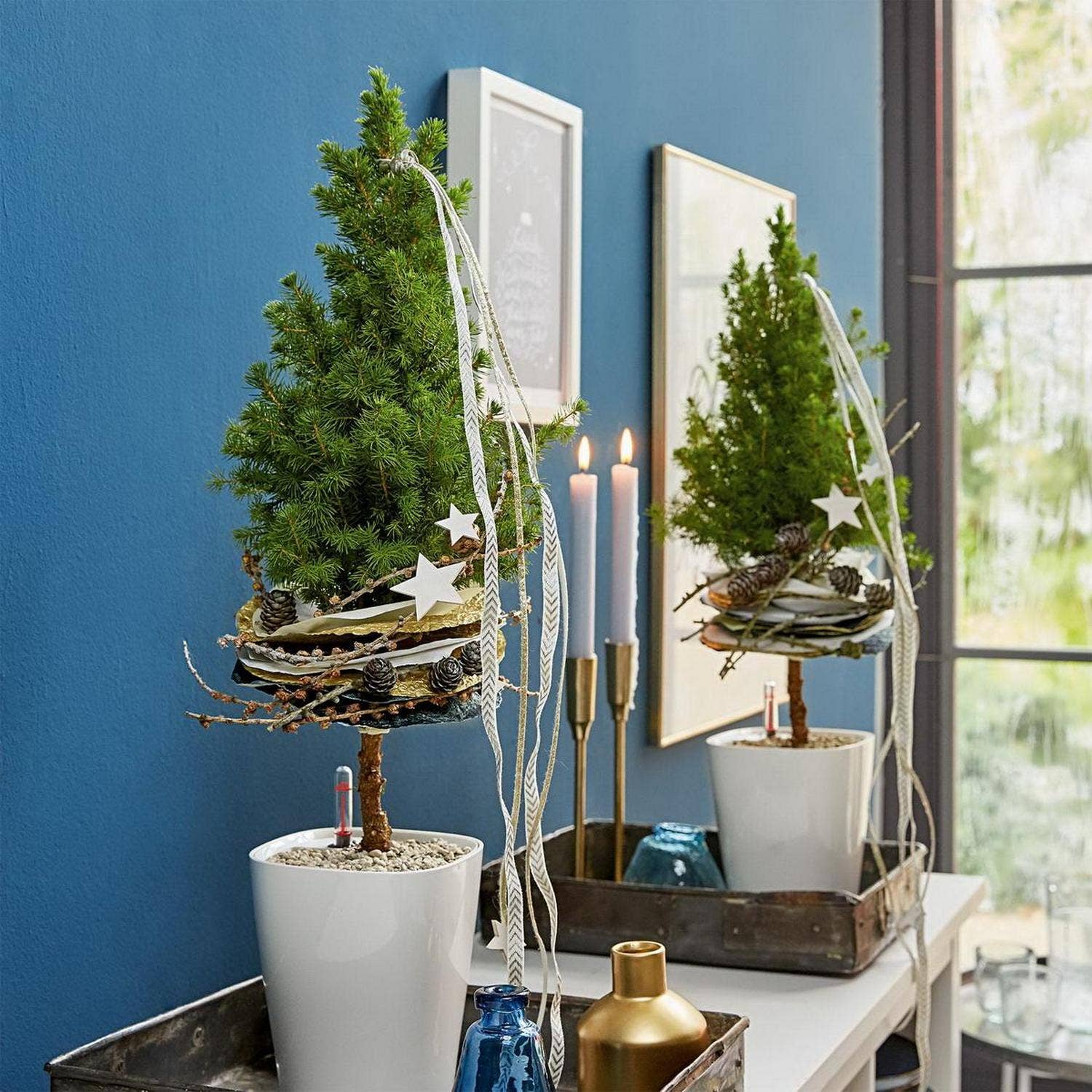 Lechuza Self Watering Planters - Vendita all'ingrosso Vasi per piante - Lechuza Deltini e Mini-Deltini vaso da tavolo in poliresina con sistema di autoirrigazione16