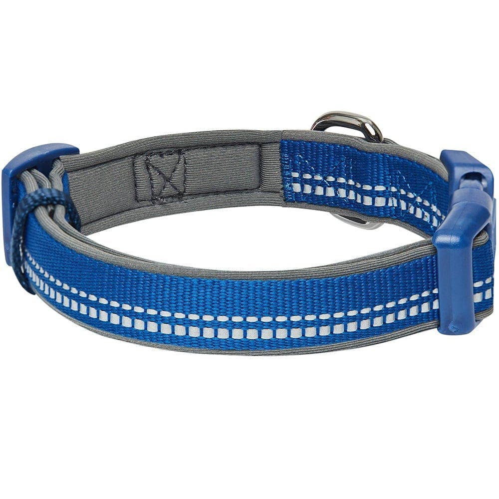 Blueberry Pet - Vente Collier – chien - Collier de sécurité rembourré en néoprène souple réfléchissant 3M20