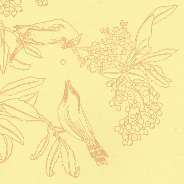 Cedar Waxwing Foothills • Impression artistique en typographie minérale pour la vente par Justina Freel