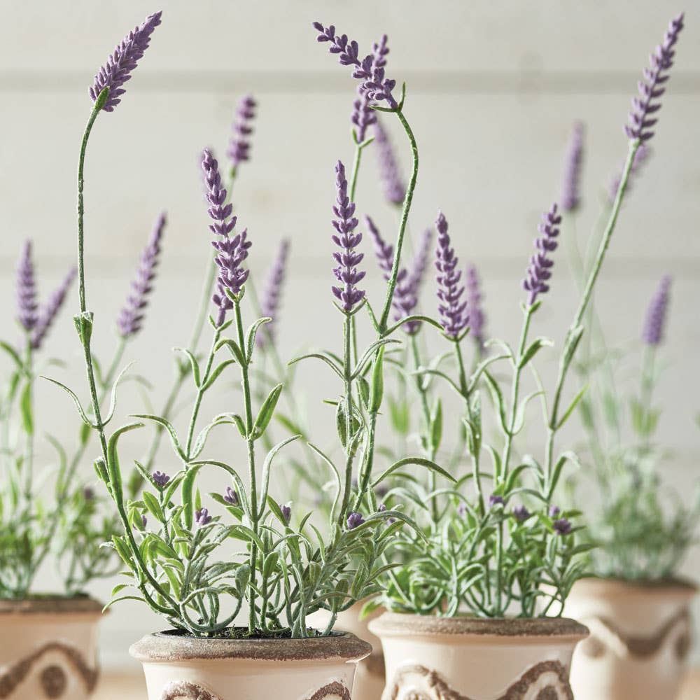 Napa Home & Garden - Wholesale Artificial Flowers - French Lavender Drop-In 13", Set Of 61