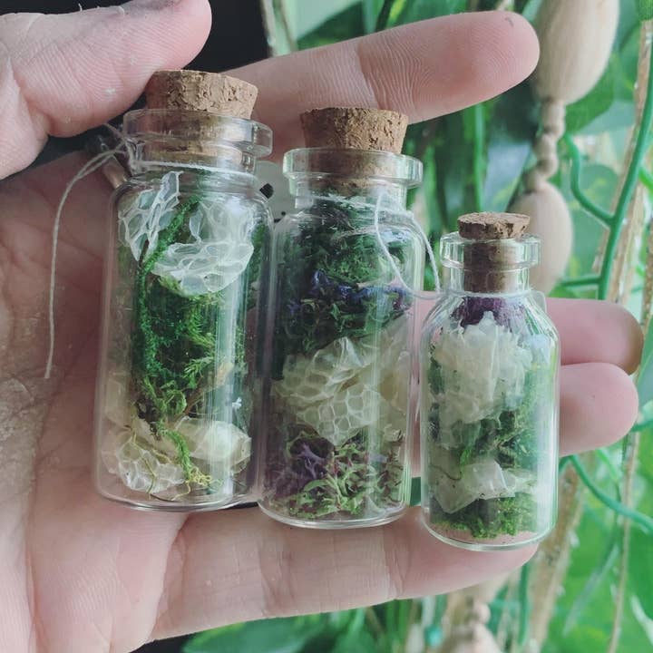 Leafy Ann Art - Wholesale Apothecary Jar - Snake shed Moss Apothecary Jar