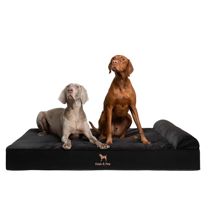 NOAH AND PAW LLC – wholesale Pet bed – Cat/dog – Denim Orthopedic Pet Bed, Memory Foam, Infused with Cooling Gel - Classic3