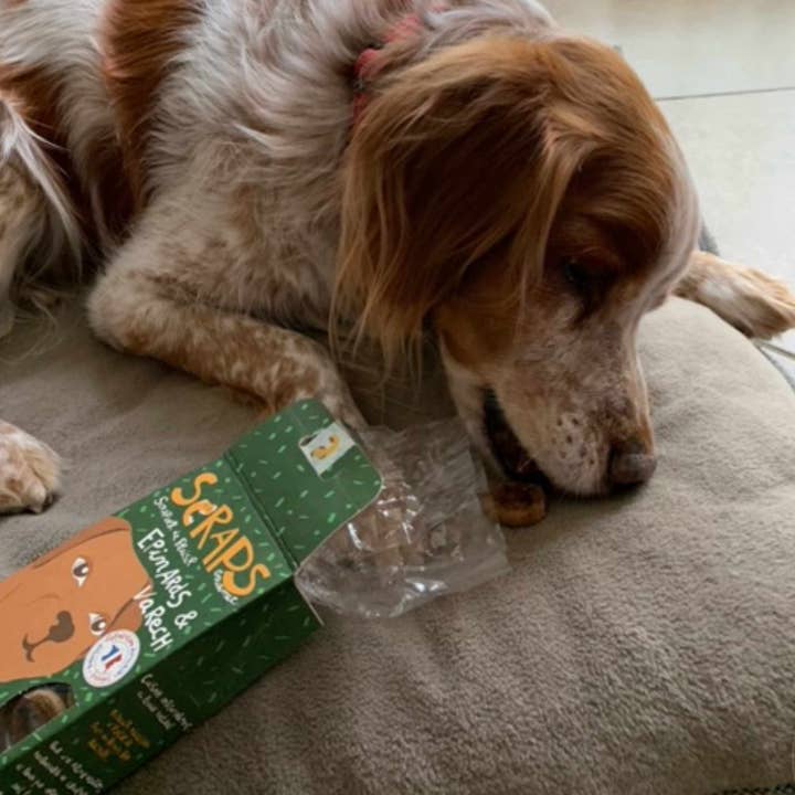 Scraps Gourmet – Großhandel Leckerlis – Hund – SPINAT- UND SEETANGRESTE 120g4