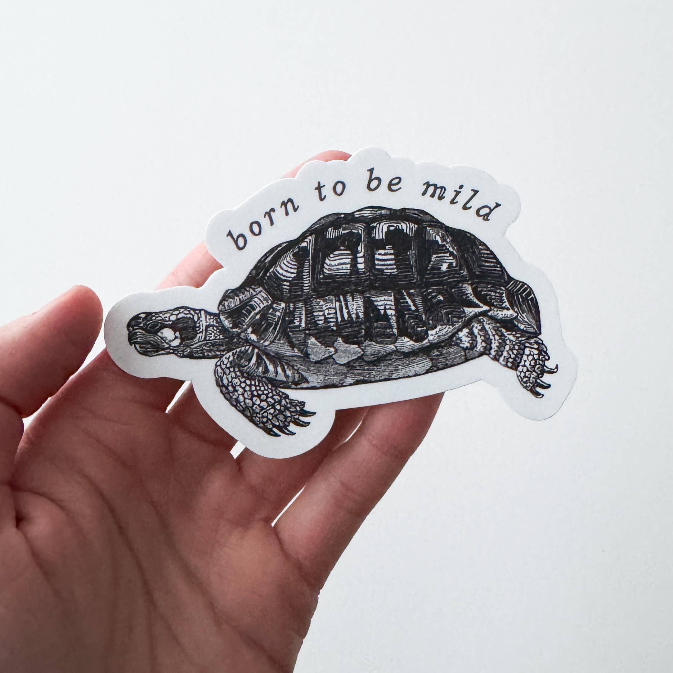 Kinsfolk Stickers - Wholesale Sticker - Born to be Mild Tortoise Vinyl Sticker 2
