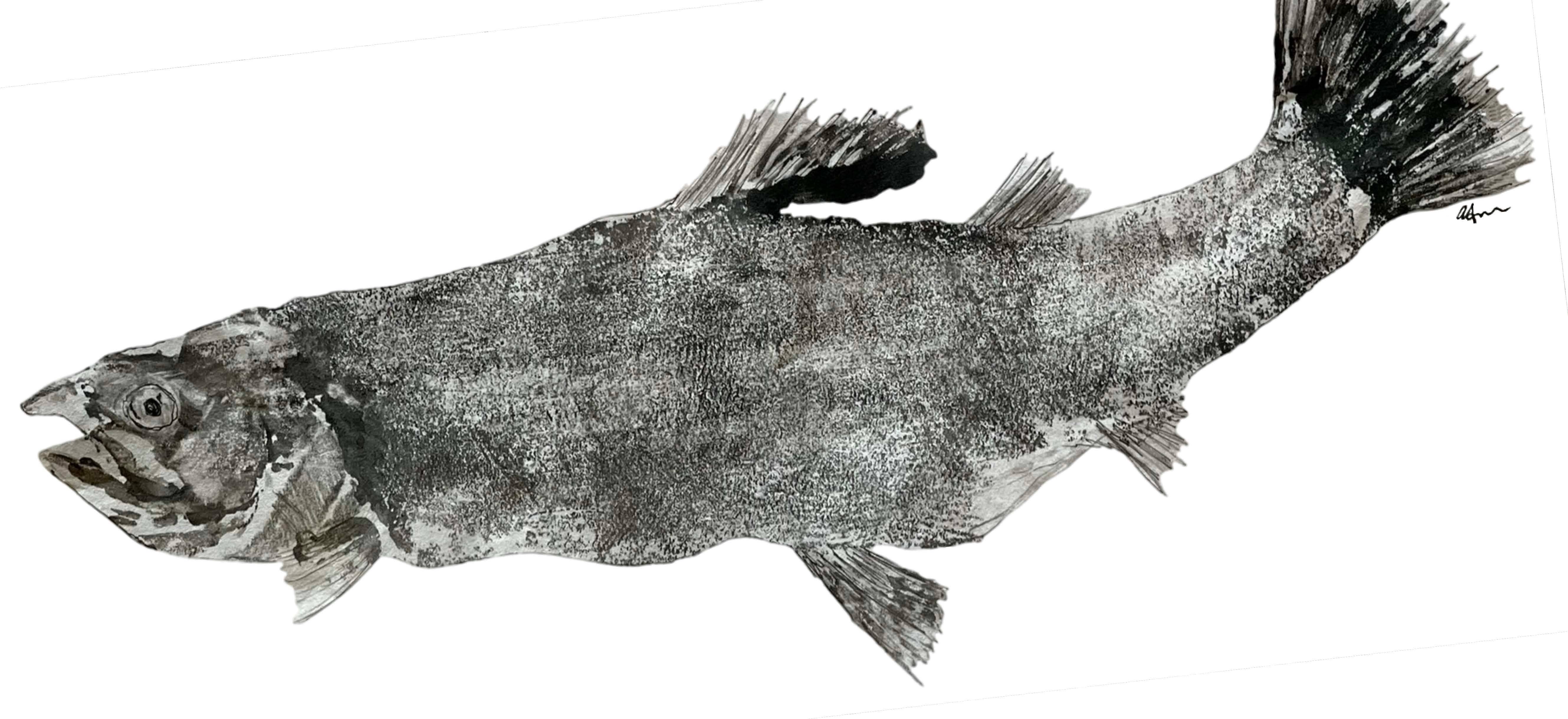 Aisling - Wholesale Beanie - Unisex - Trout Cuffed Beanie in Marled grey1