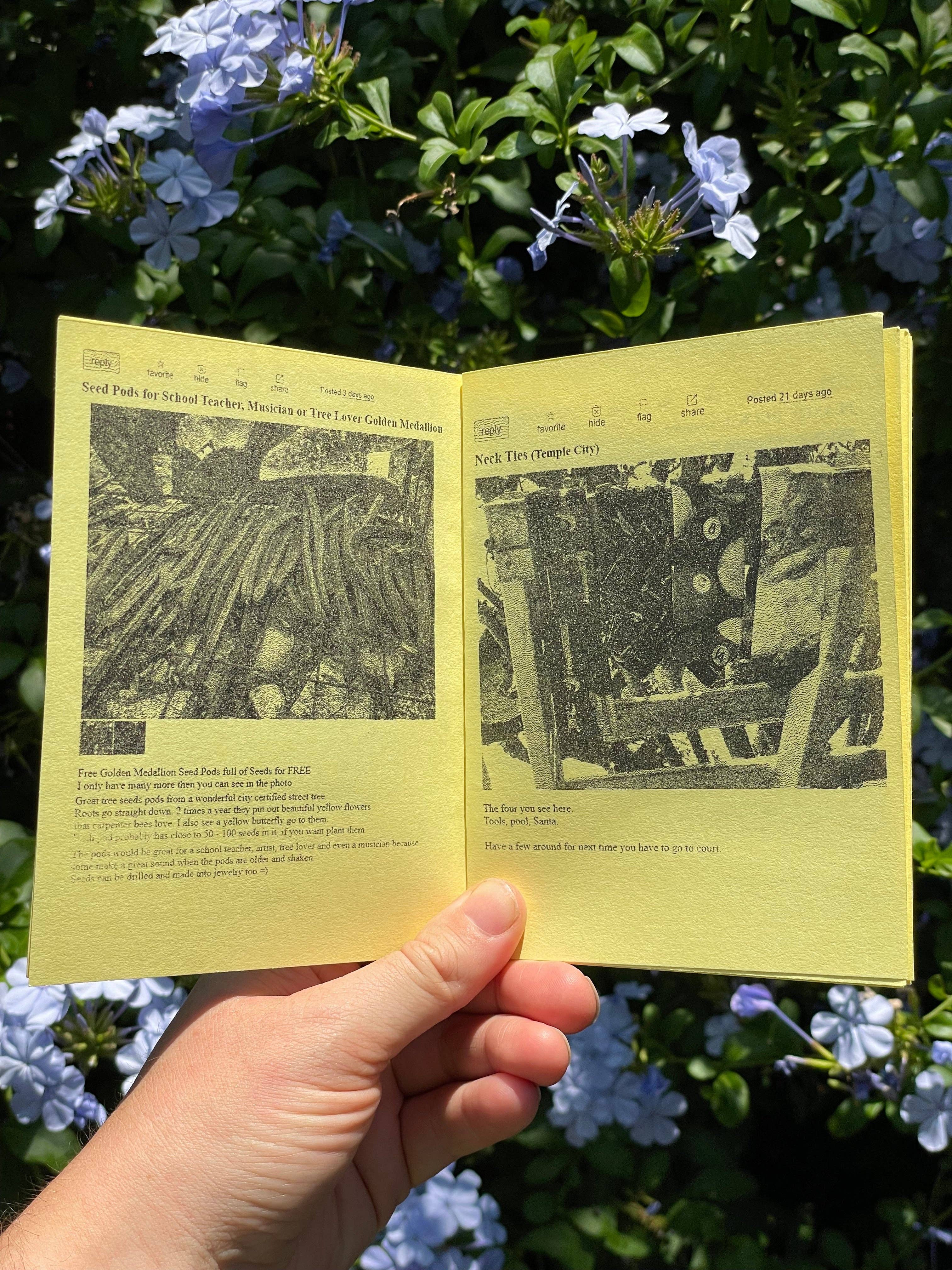 coralroot - Wholesale Teen & Young Adult Book - Craigslist Zine1