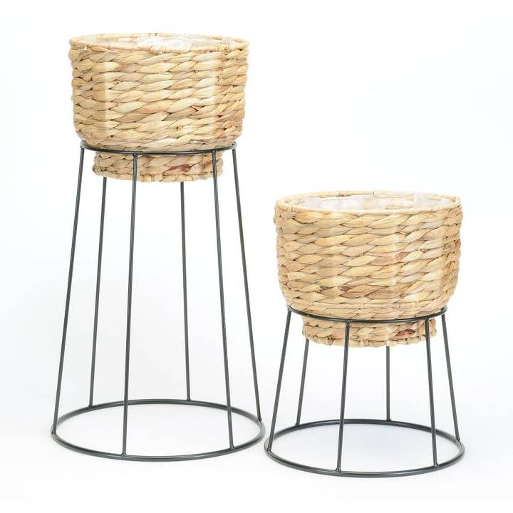 S/2 HYACINTH AND WIRE PLANT for wholesale by Bacon Basketware