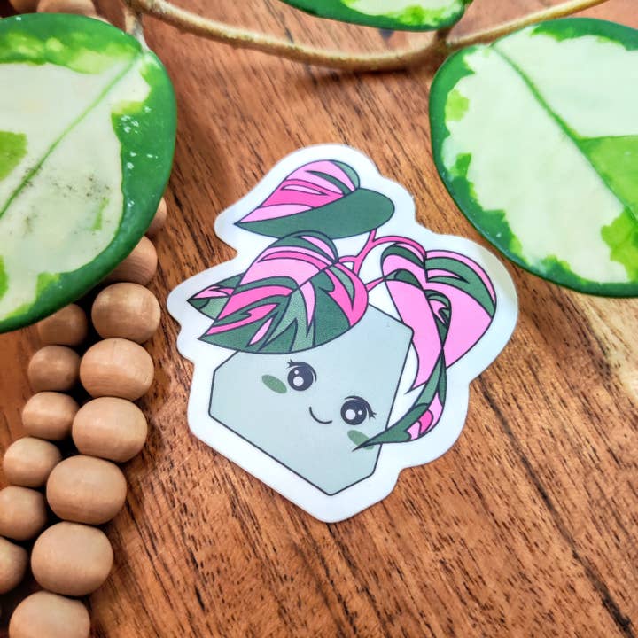 Pink Princess Philodendron Vinyl Sticker for wholesale by BumbleB Graphic Design