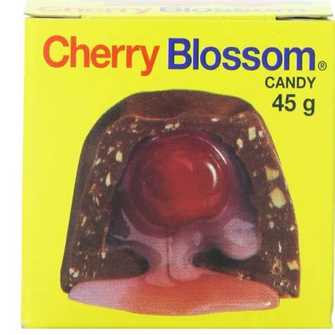 Giftly Treats – Engroshandel Chokoladeovertrukket slik – Kirsebærblomst Slik