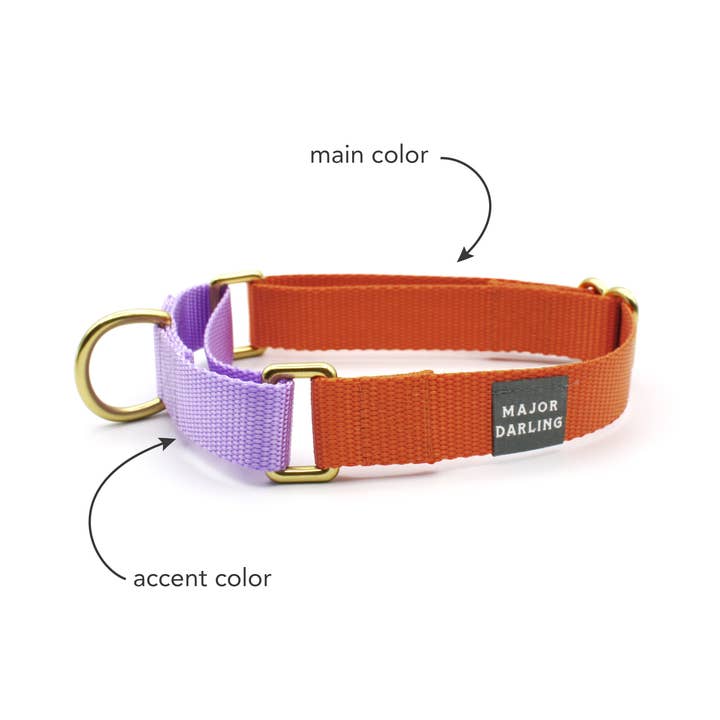 Major Darling - Vente Collier – chien - Collier Martingale / Coloris Personnalisé2