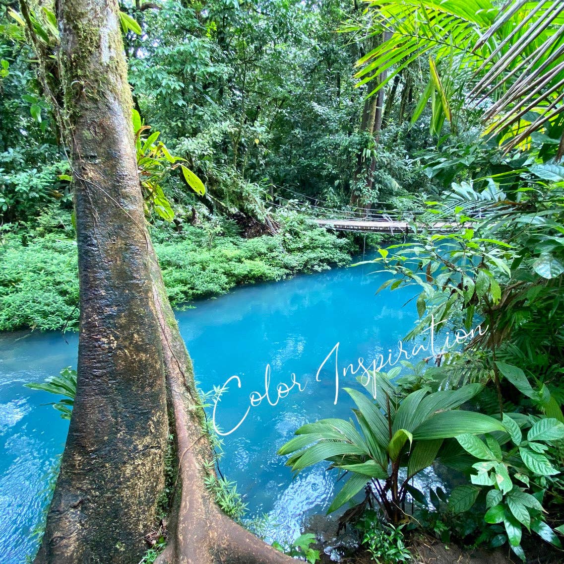 Byrdeen - Wholesale Wine Glass - Rio Wine Glass Set6