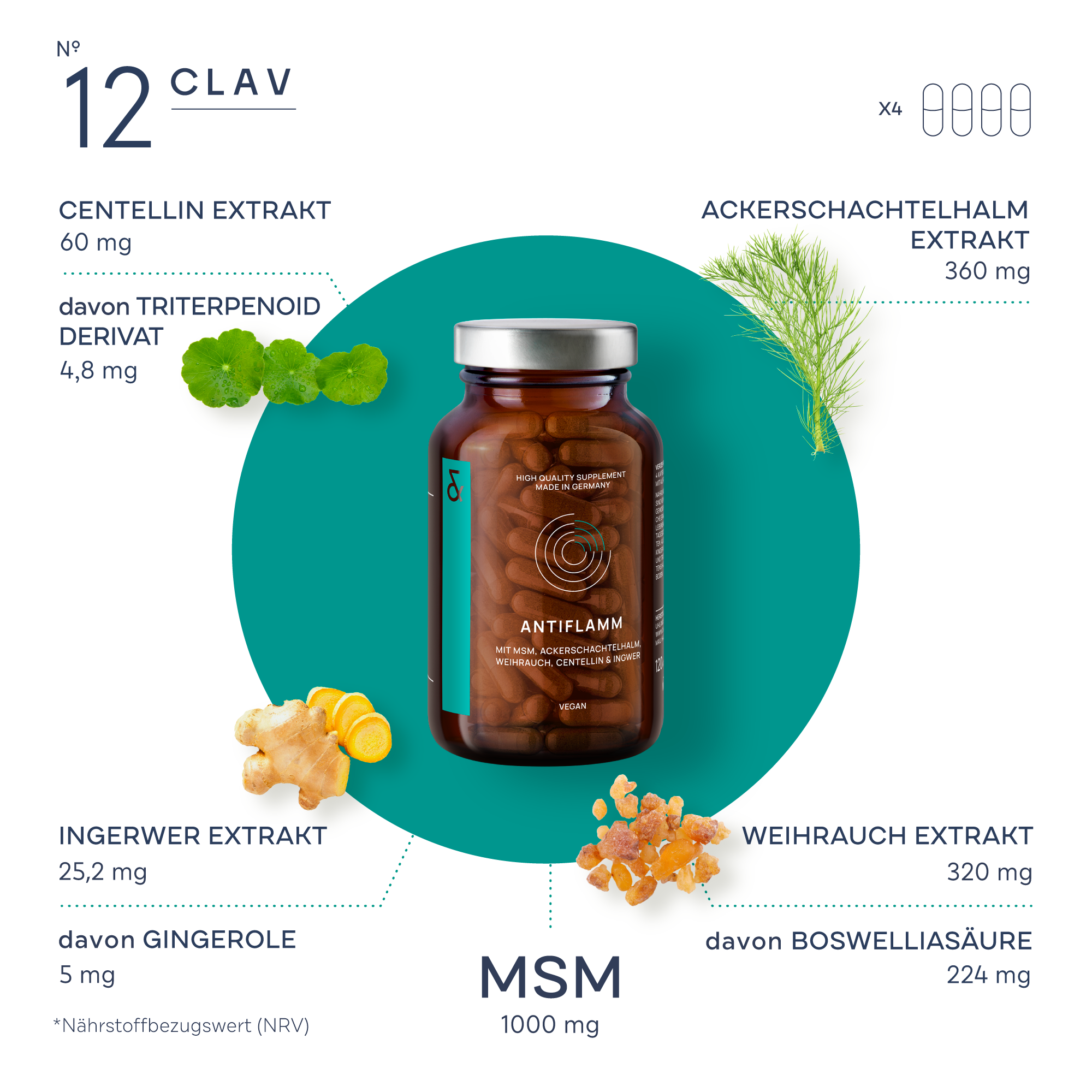 CLAV - Wholesale Oral Supplement/Vitamin - N°12 ANTIFLAMM4