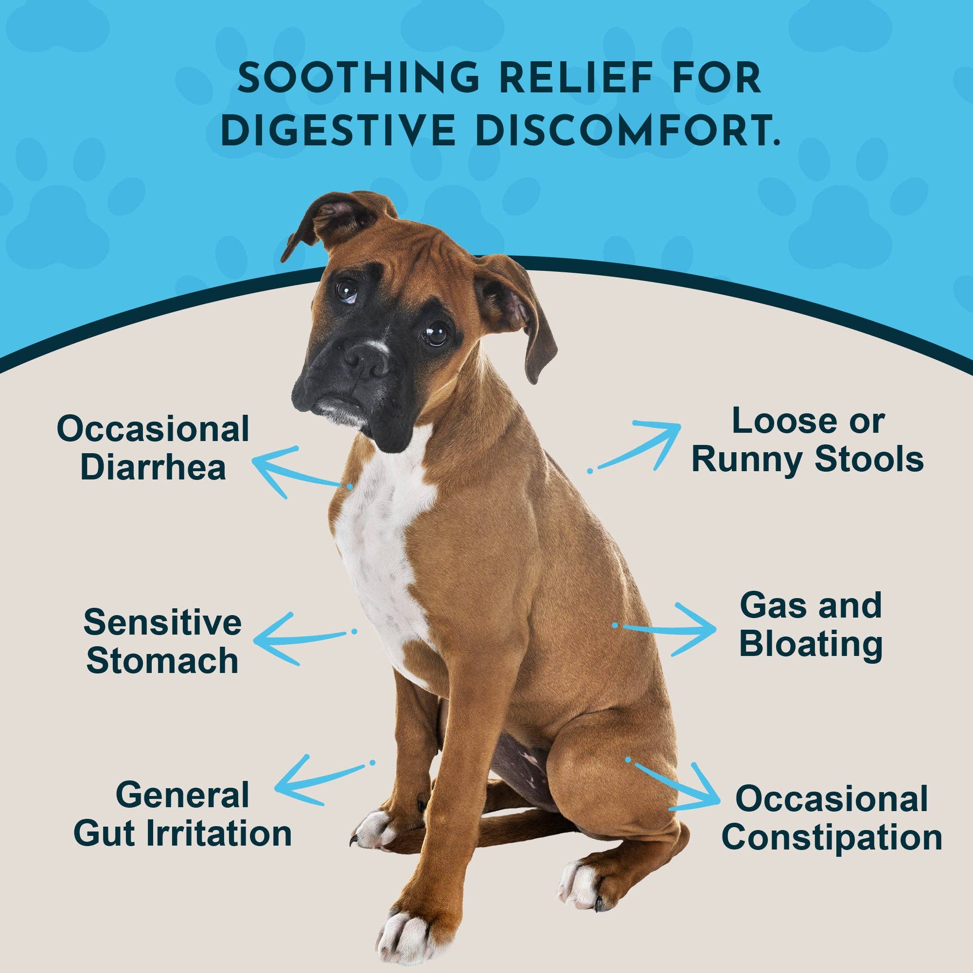 Animal Essentials - Wholesale Pet Supplement - Cat/Dog - Slippery Elm Herbal Tonic | Supports Gut Health & Respiration2