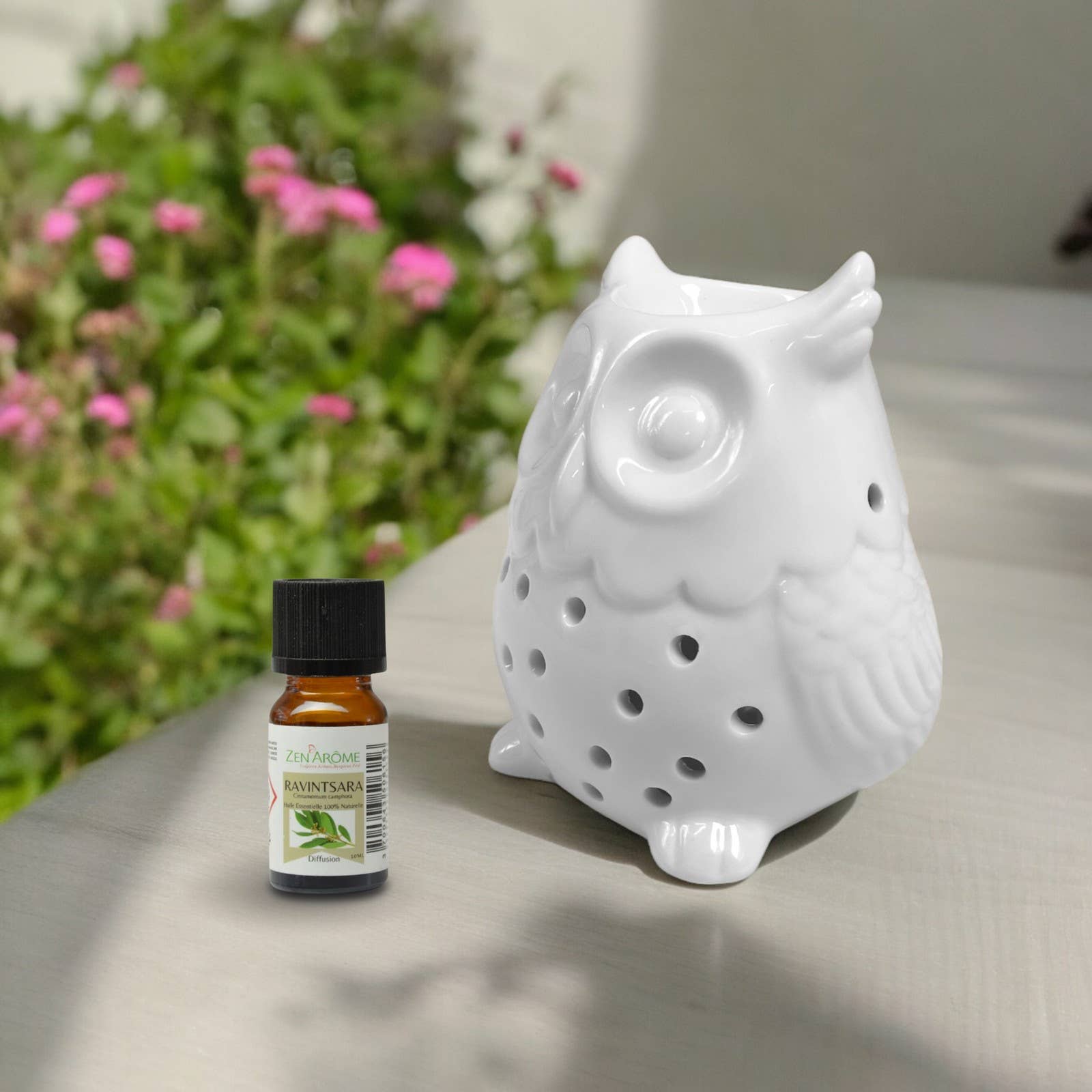 Zen'Arôme - Wholesale Fragrance Warmer - Ceramic Owl Fragrance Burner - Compatible with Melts13