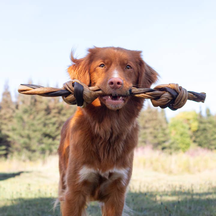 Dogginstix - Wholesale Pet Treats - Dog - Braided Sticks Lamb Collagen Double Knots5