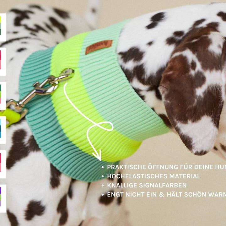 VIOLA VÅR THE GLOW LOOP - Neon Hundhalsduk - (VIOLA SPRING) för wholesale på Faire2