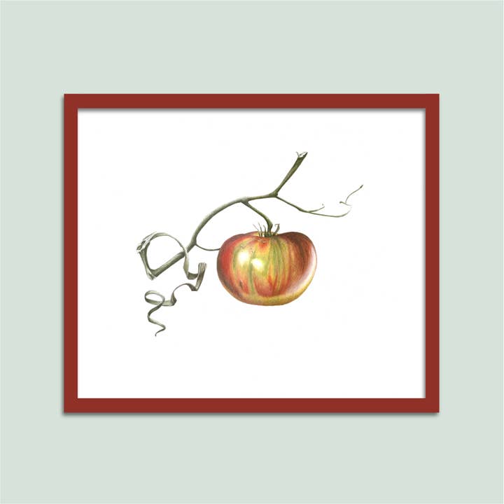 Ripening Tomato Limited Edition Archival Print for wholesale by Tiny Pine Art