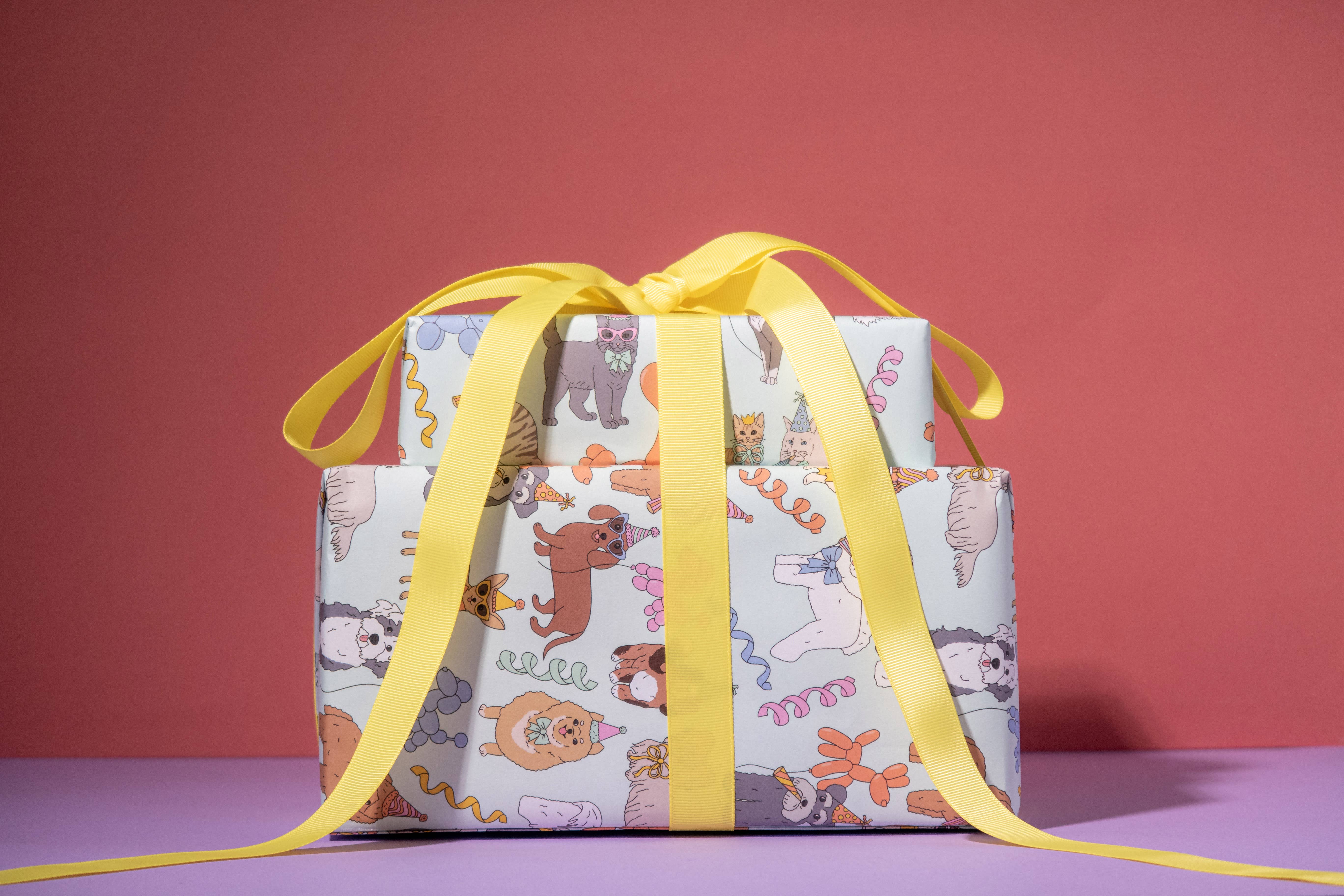 Illustrating Amy - Wholesale Wrapping Paper Roll - Birthday Cats Gift Wrap Rolls5