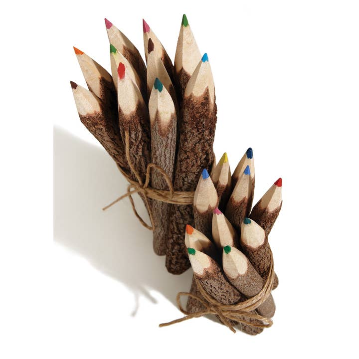 Namaste - Wholesale Colored Pencil - Pack of 10 Large Tamarind Twig Colour Pencils