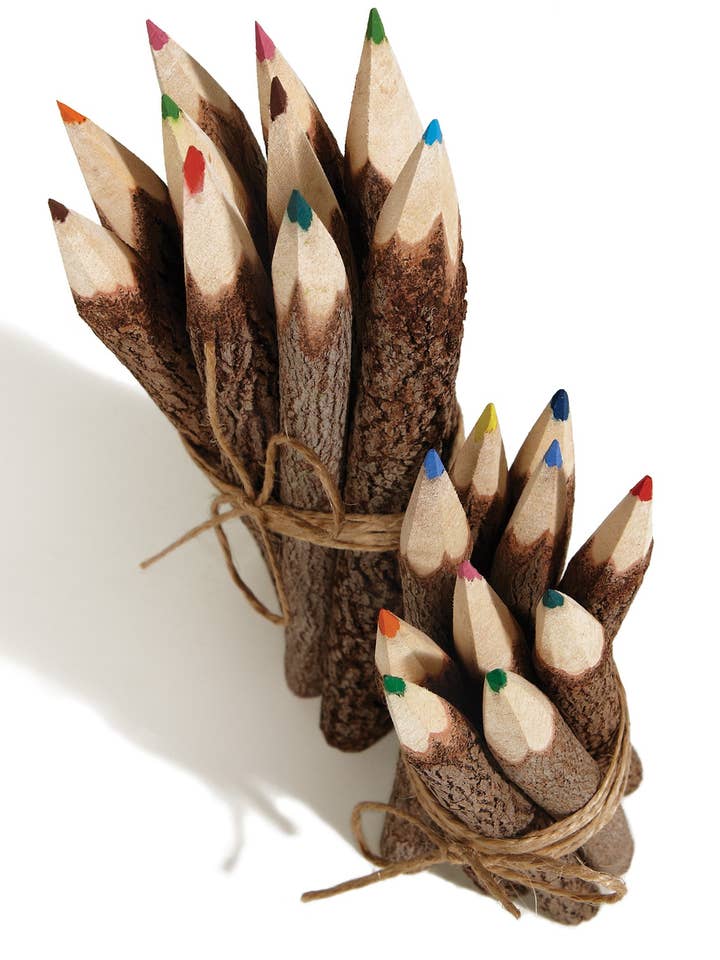 Pack of 10 Large Tamarind Twig Colour Pencils for wholesale by Namaste